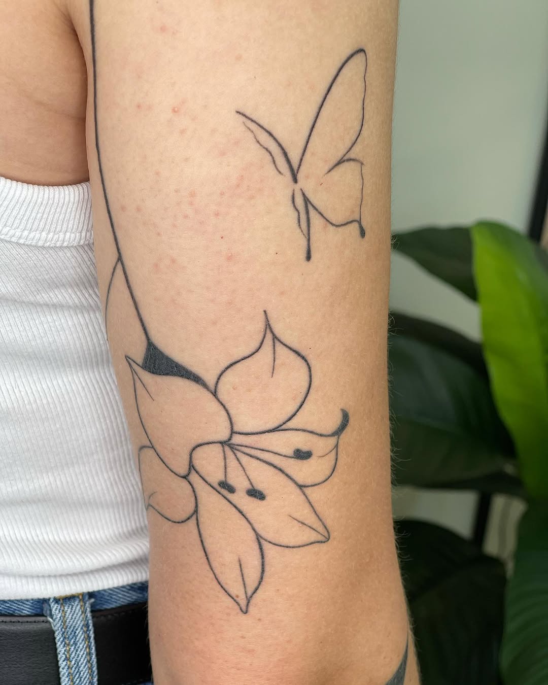 Flower, Rose