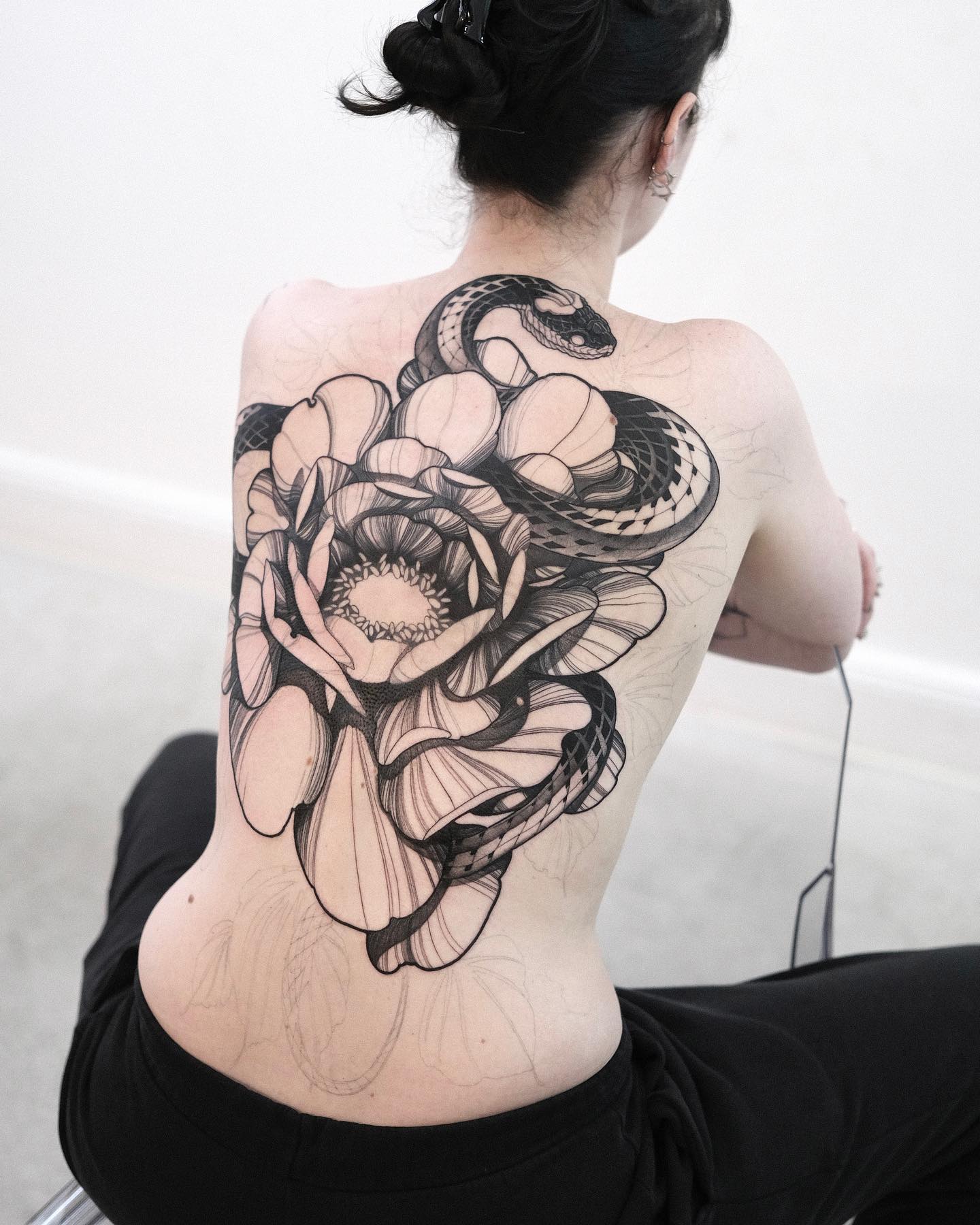 Flower, Rose, Nature, Dragon