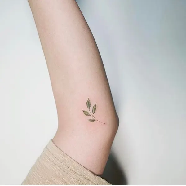 잎, Flower, Rose, 풀, 허브, Nature, 평화