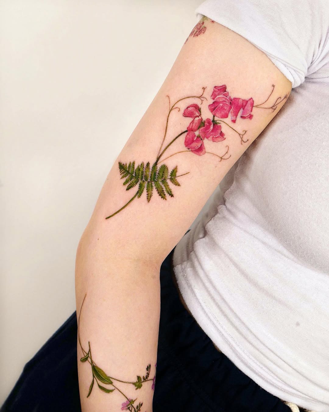Animal, Nature, Flower