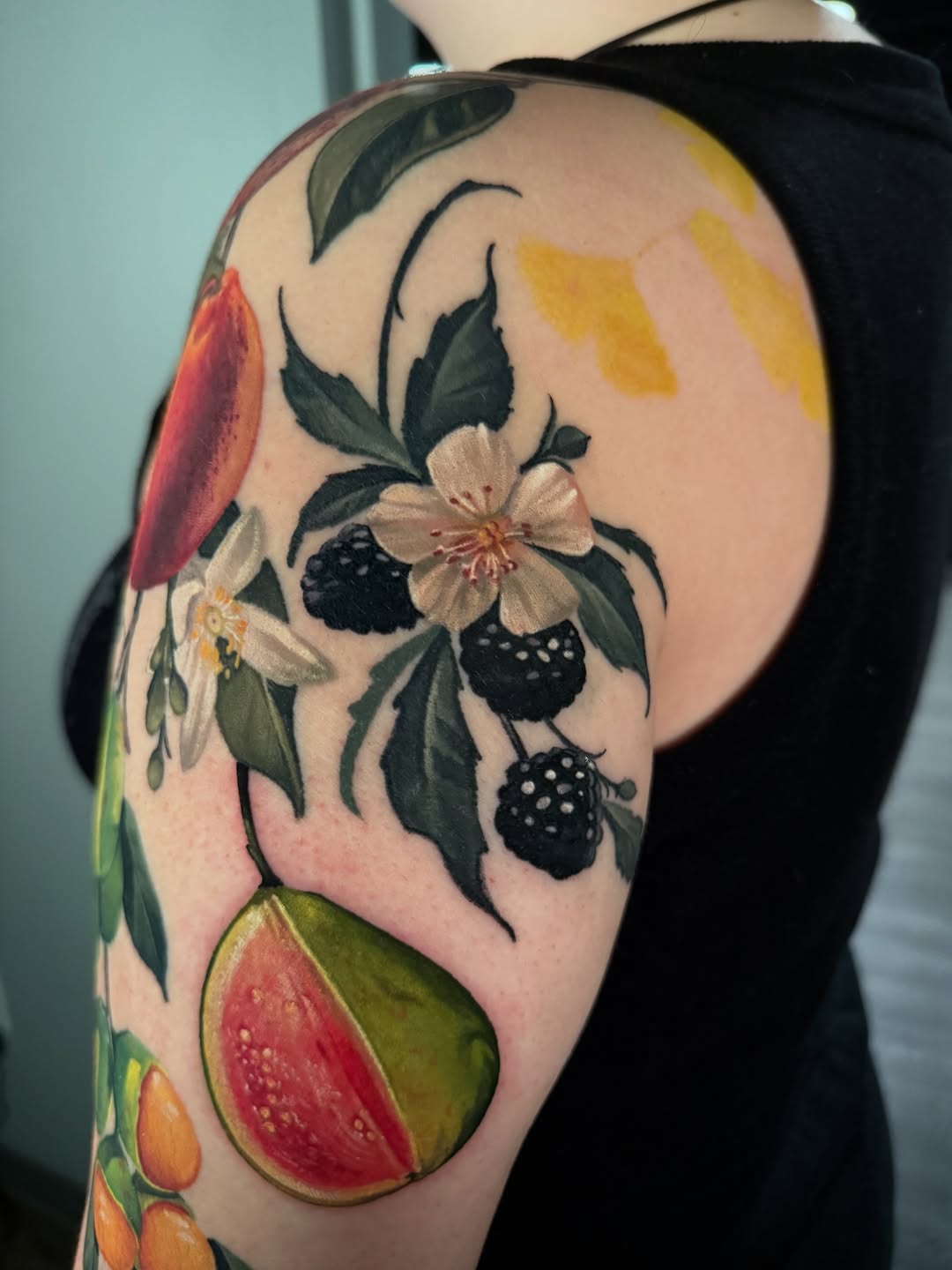 Flower, Rose, Nature