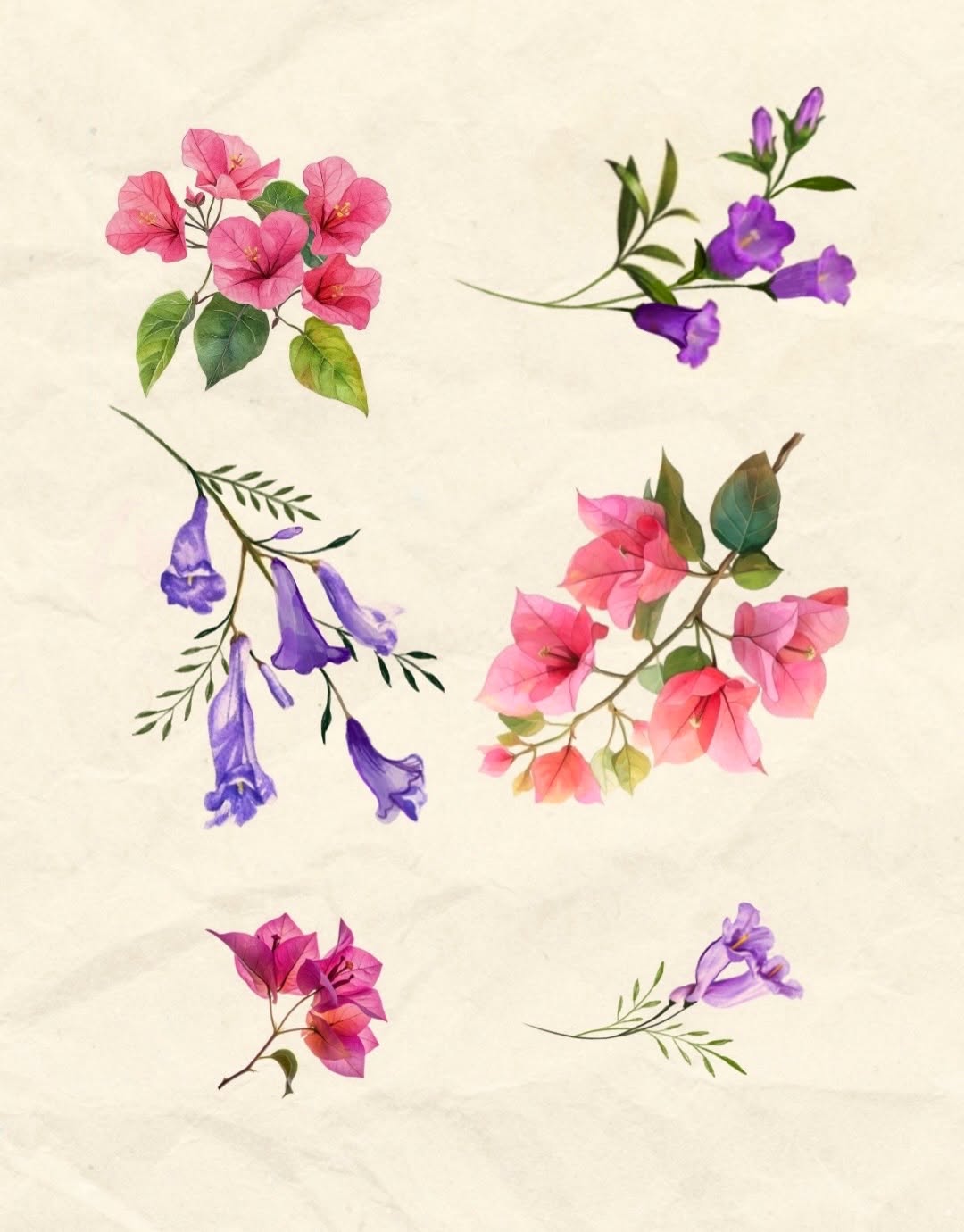 Flower, Rose