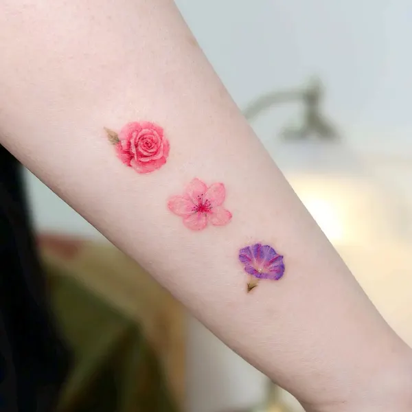 Flower, Rose