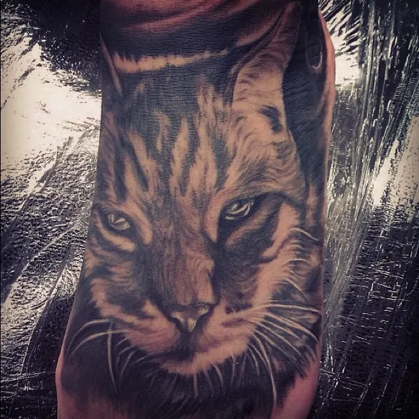 Animal