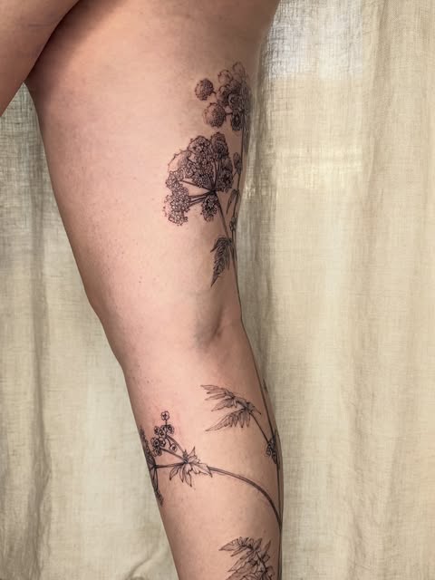 Rose, Flower