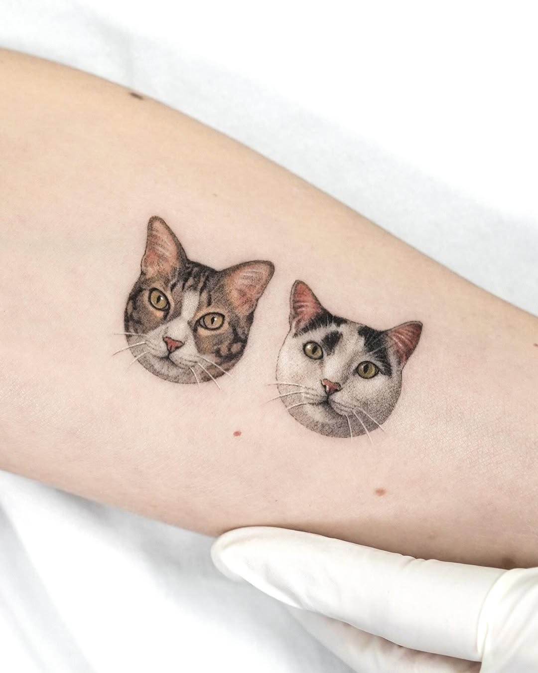 dorok.tattoo