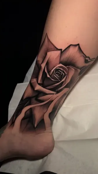 Flower, Rose