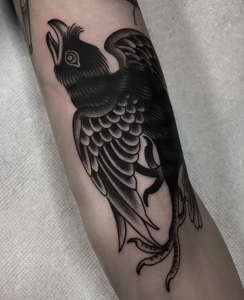 Animal