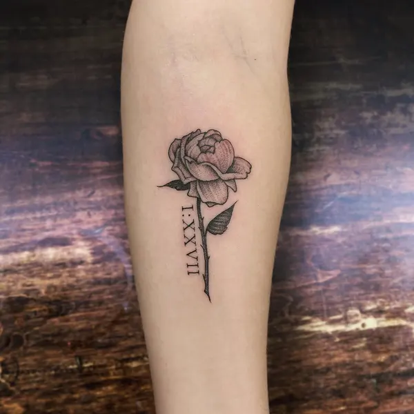 Flower, Rose