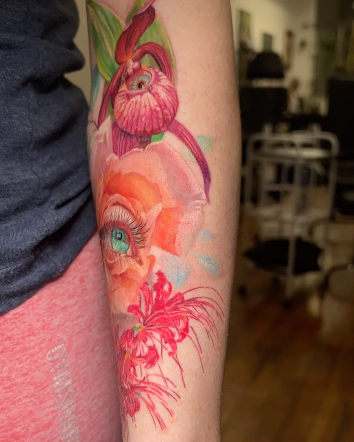 Flower, Nature, Rose
