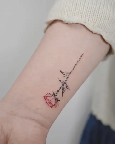 Flower, Rose
