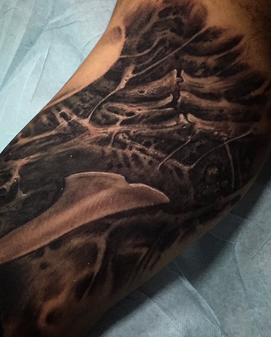 Edgar Marquez