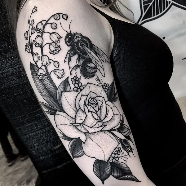 Flower, Rose, Nature