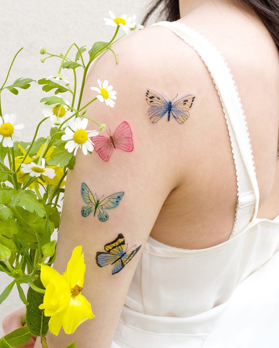 Animal, Nature, Flower