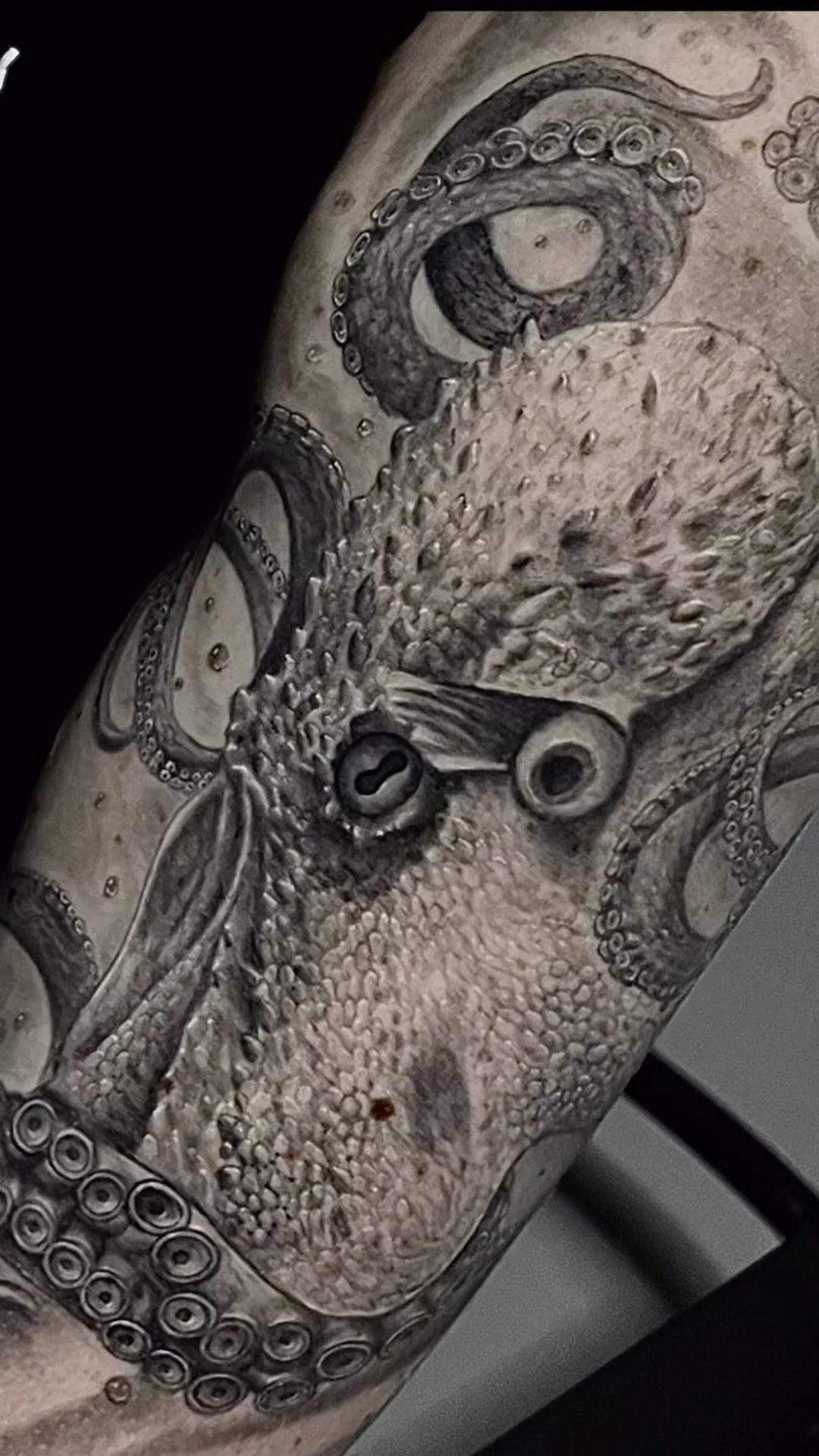 Animal, Dragon
