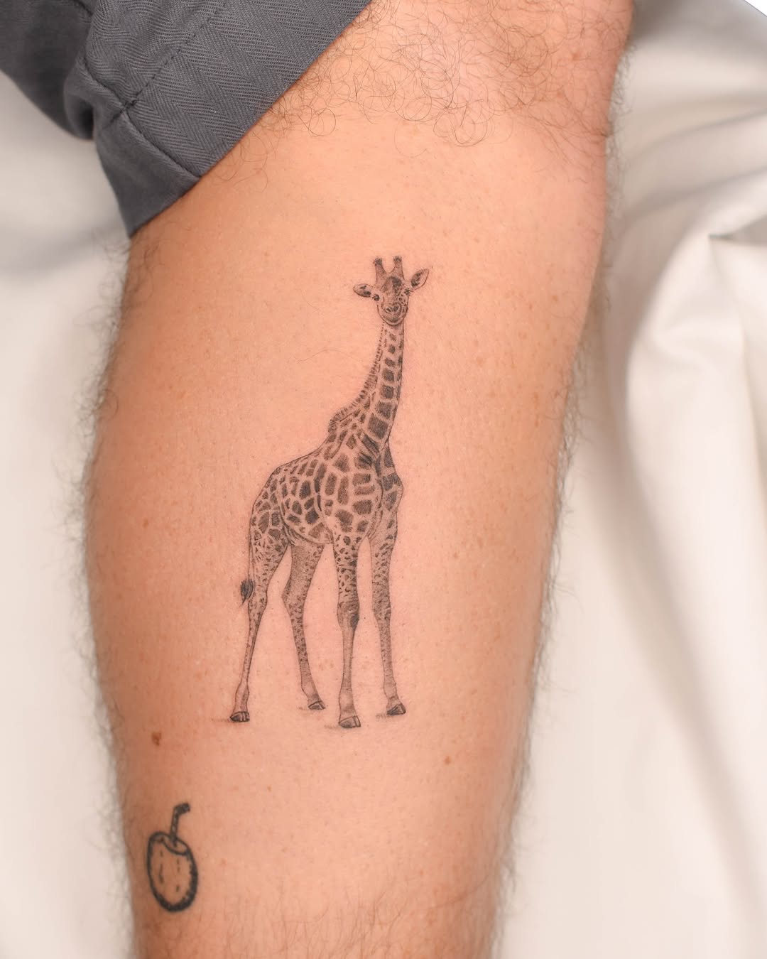 Animal