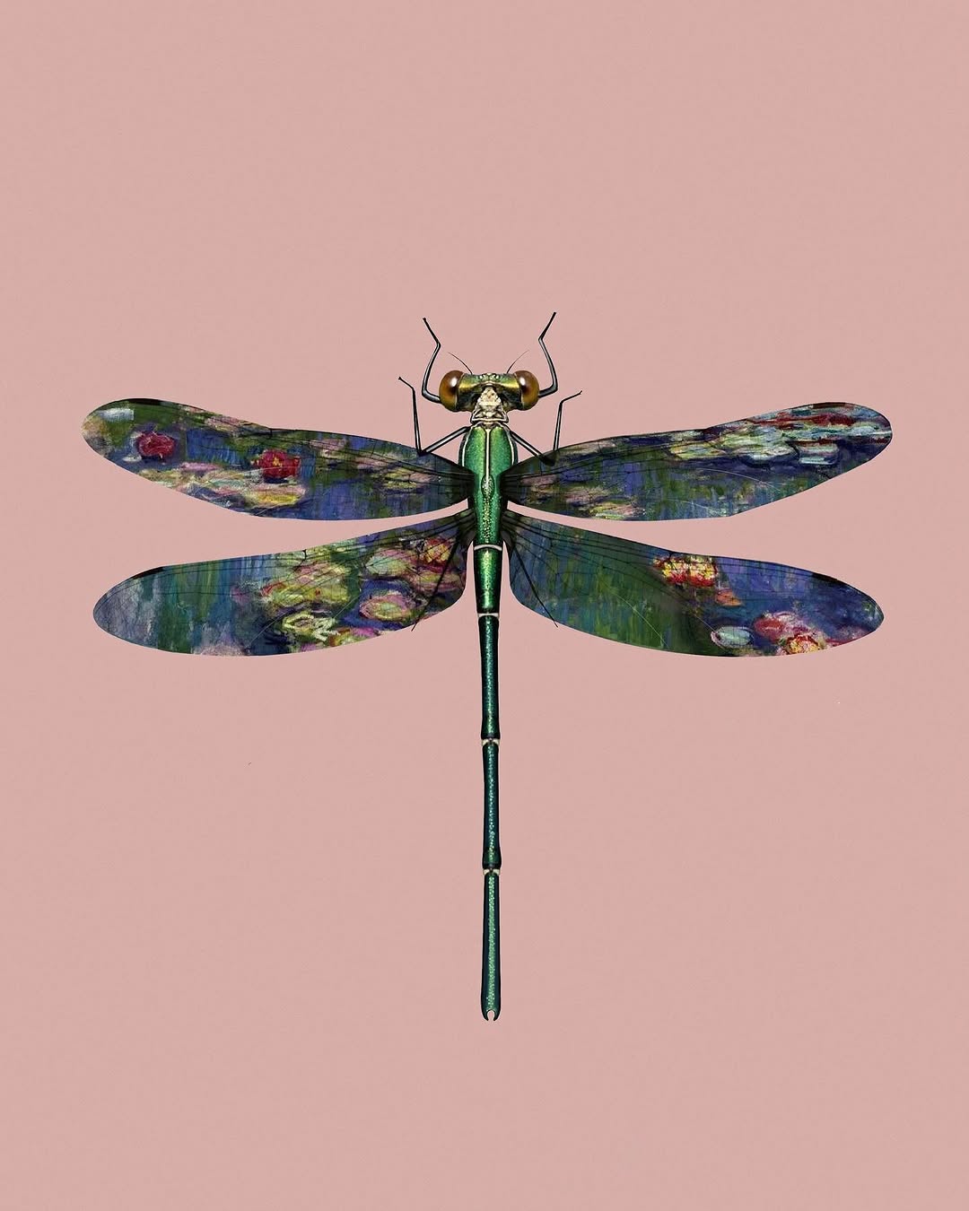 caotida