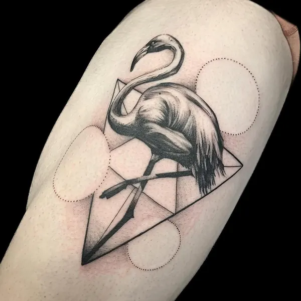 Flower, Animal, 플라밍고