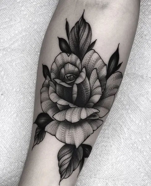 Flower, Rose