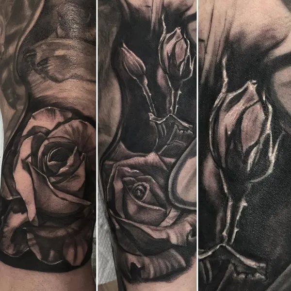 Flower, Rose