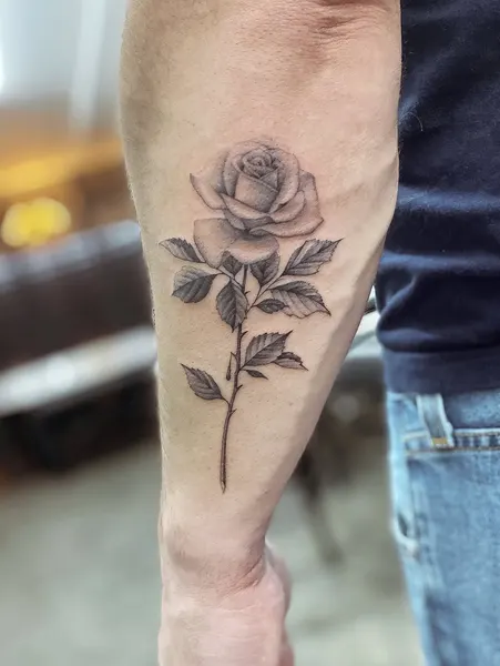 Flower, Rose