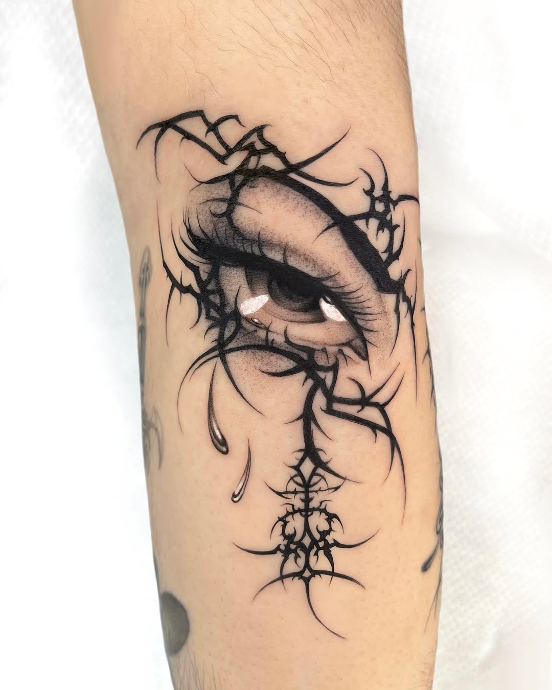zefyreon