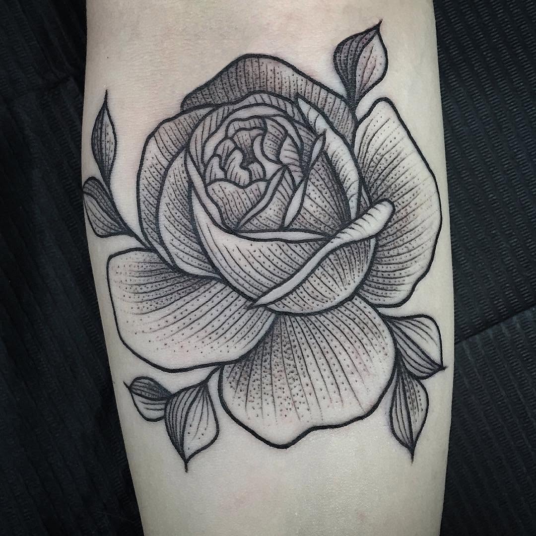 Rose, Flower