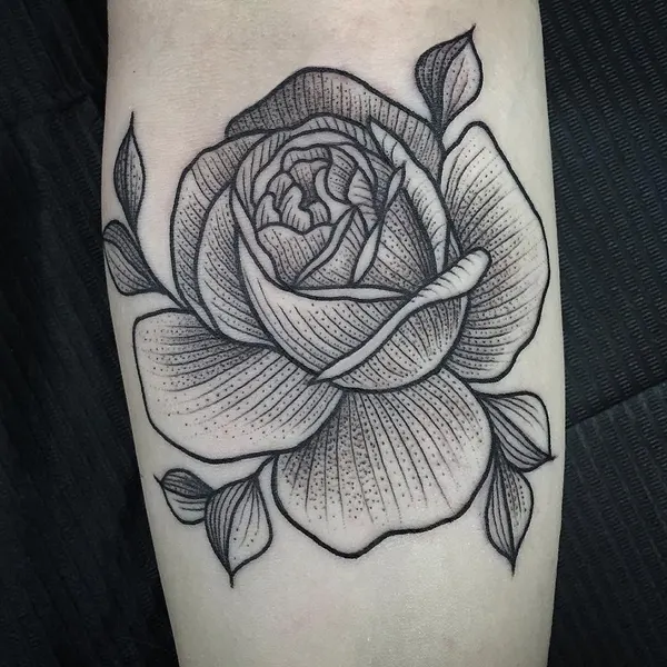 Rose, Flower
