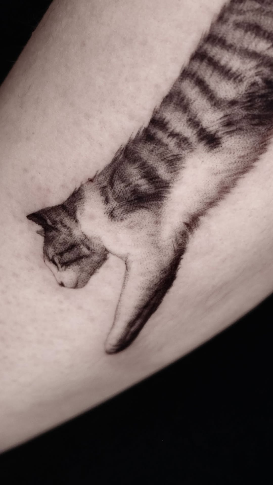 40.tatt