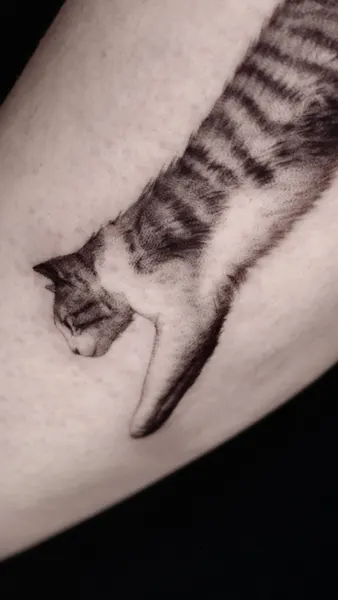 40.tatt