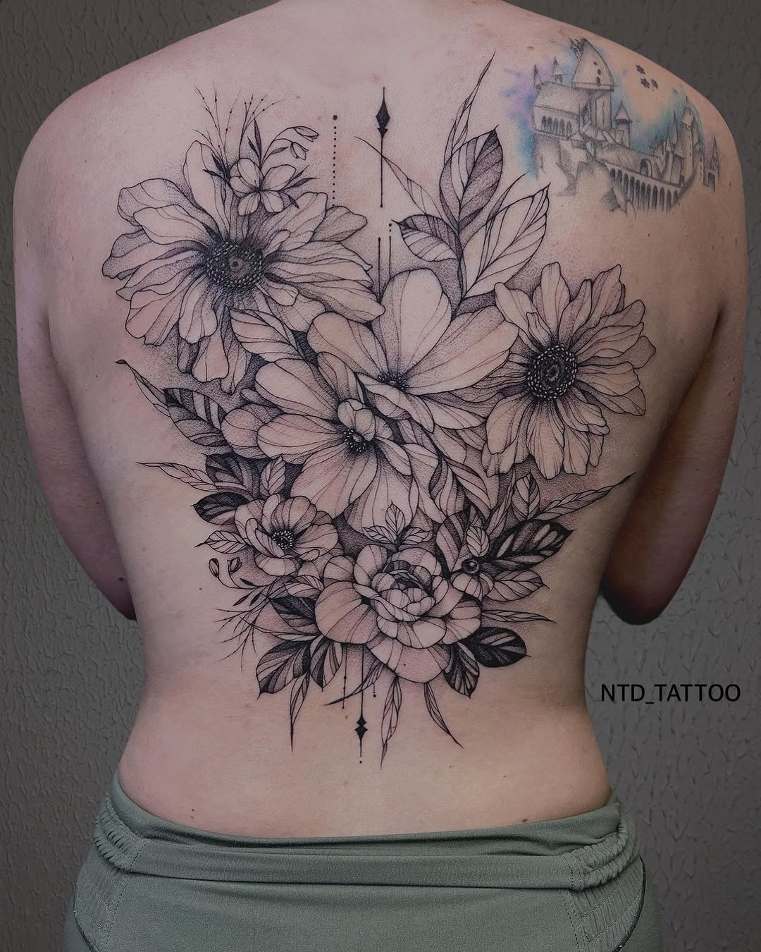 Flower, Nature, Rose