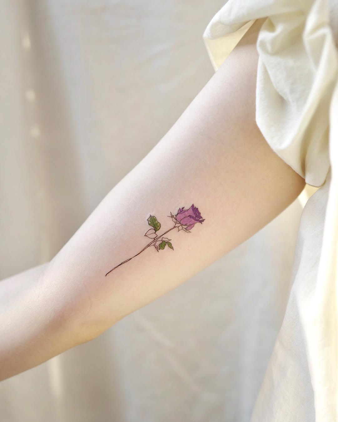 Flower, Rose