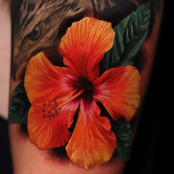 Flower, Nature
