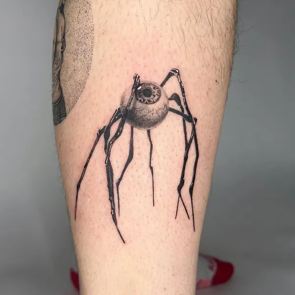 Animal, 거미