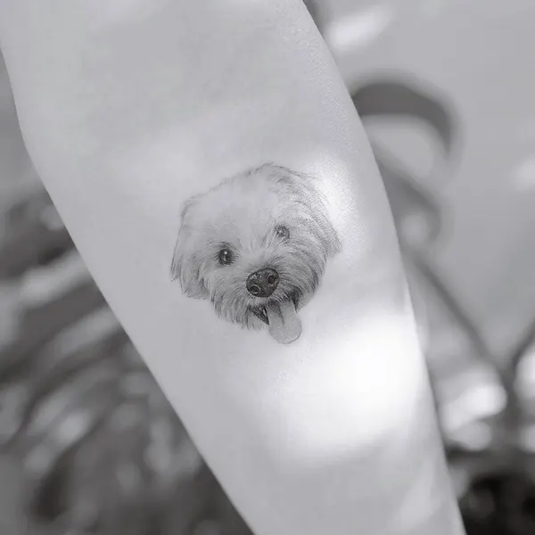 paw.tattoo