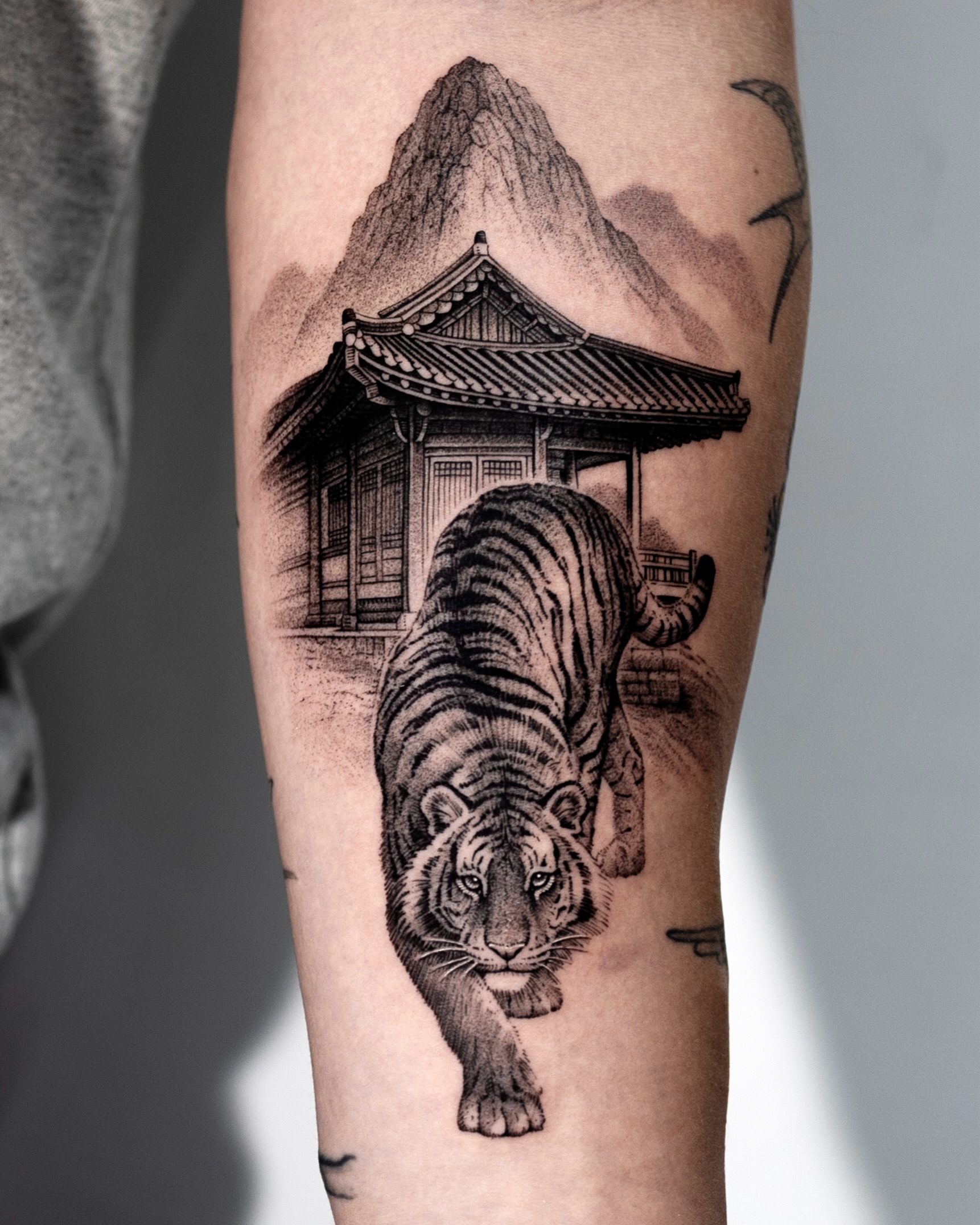 Tiger