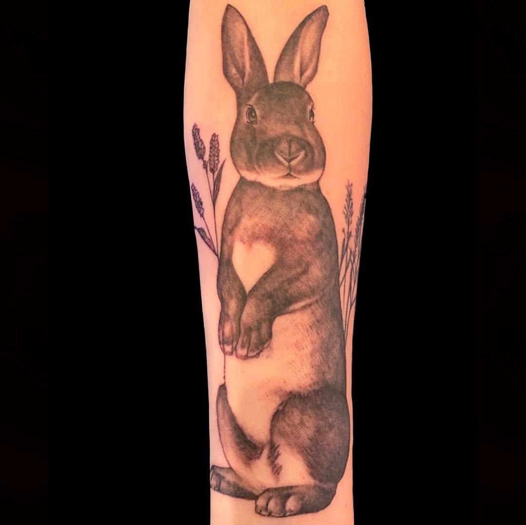 Animal