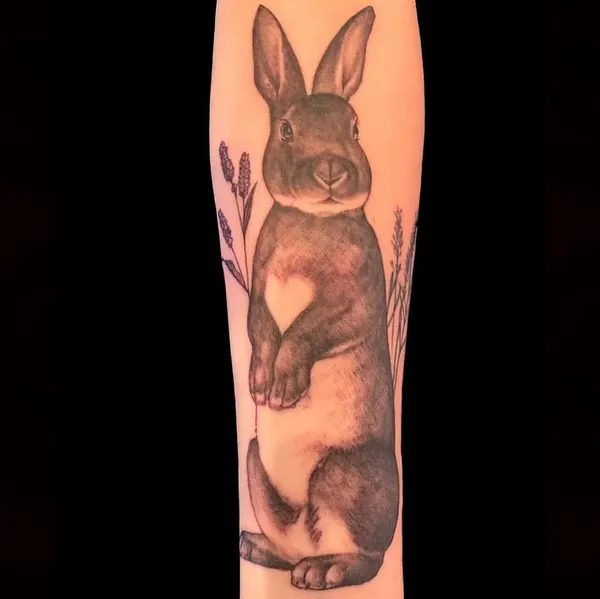 Animal