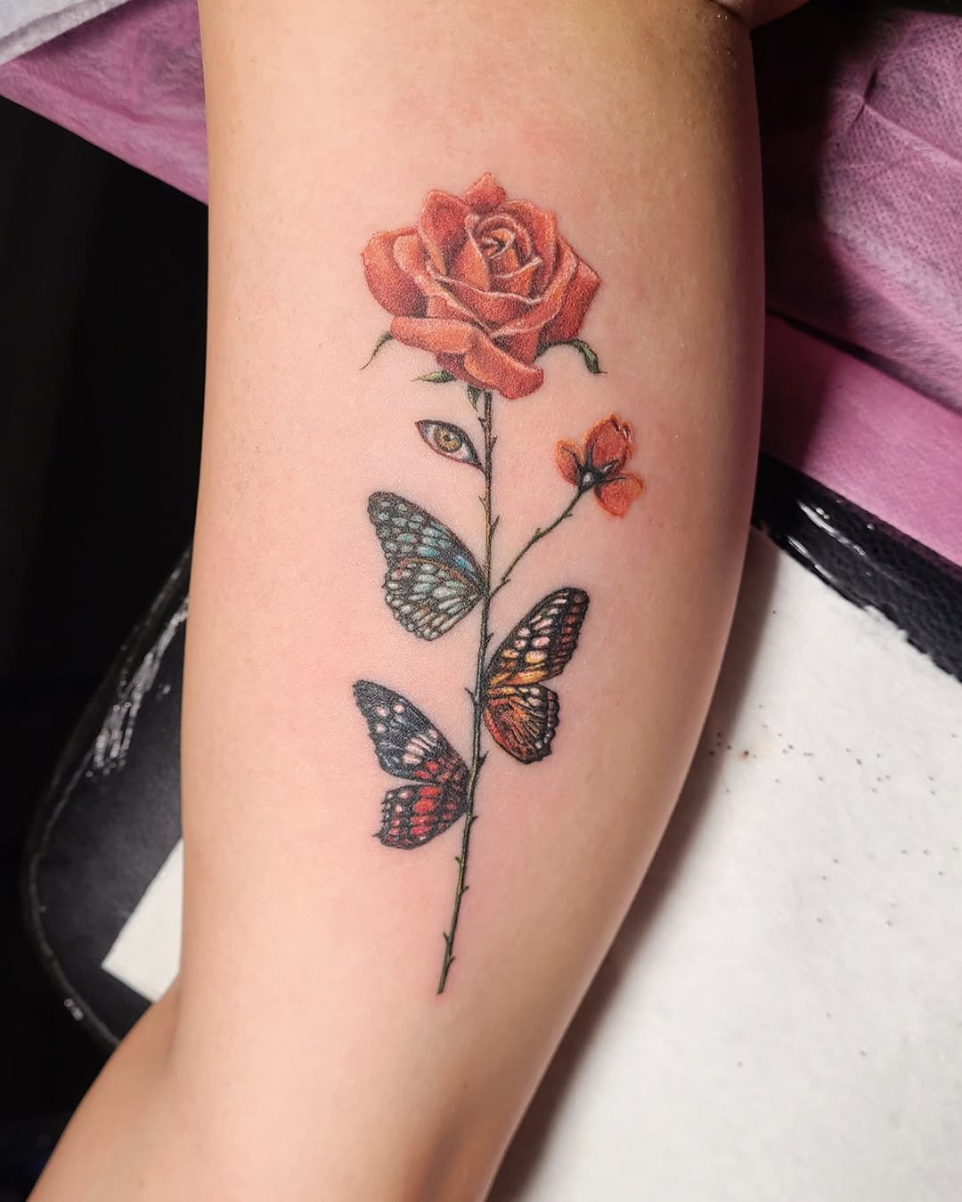 Animal, Nature, Flower