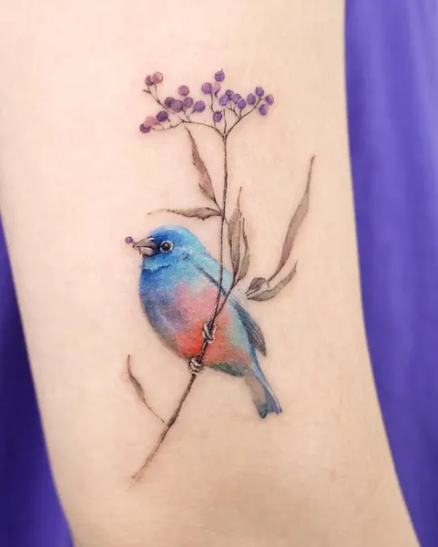 Animal, Flower
