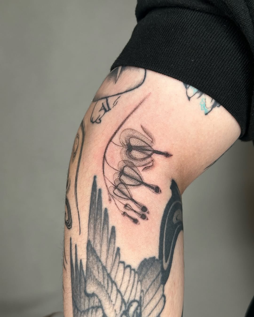 plantsnpokes