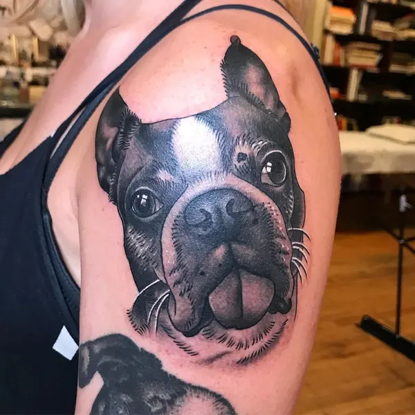 Animal