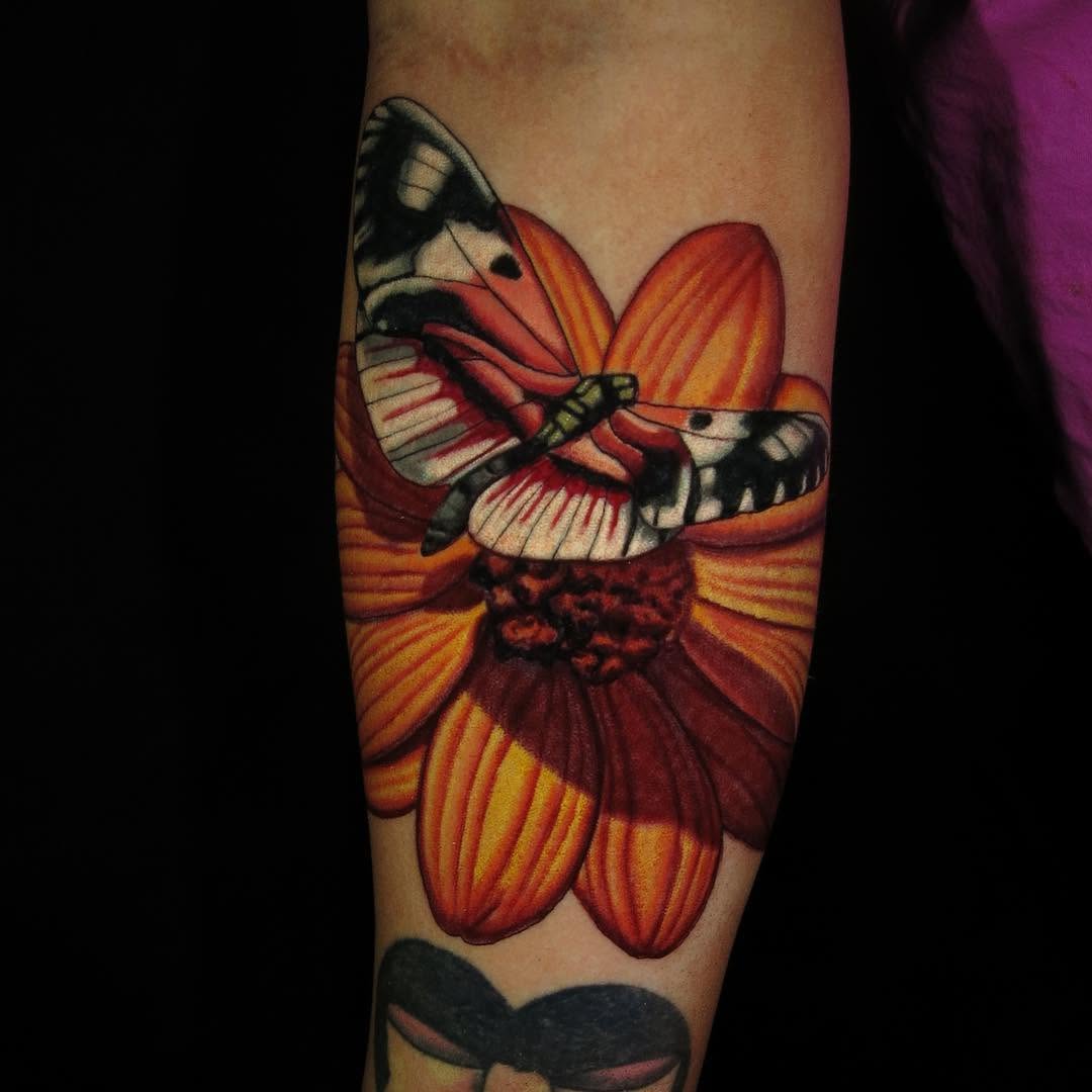 Flower, Animal, Nature