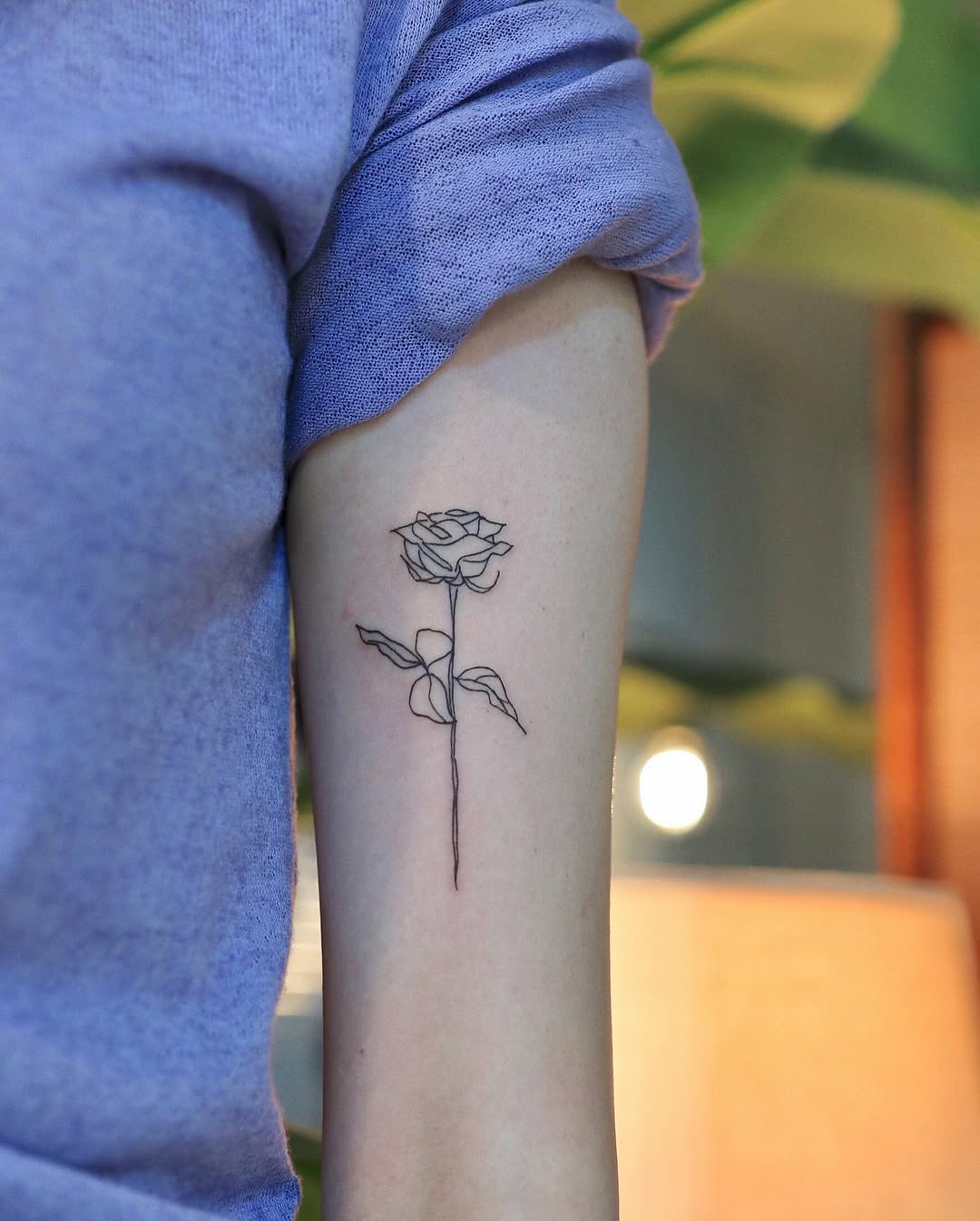 Flower, Rose