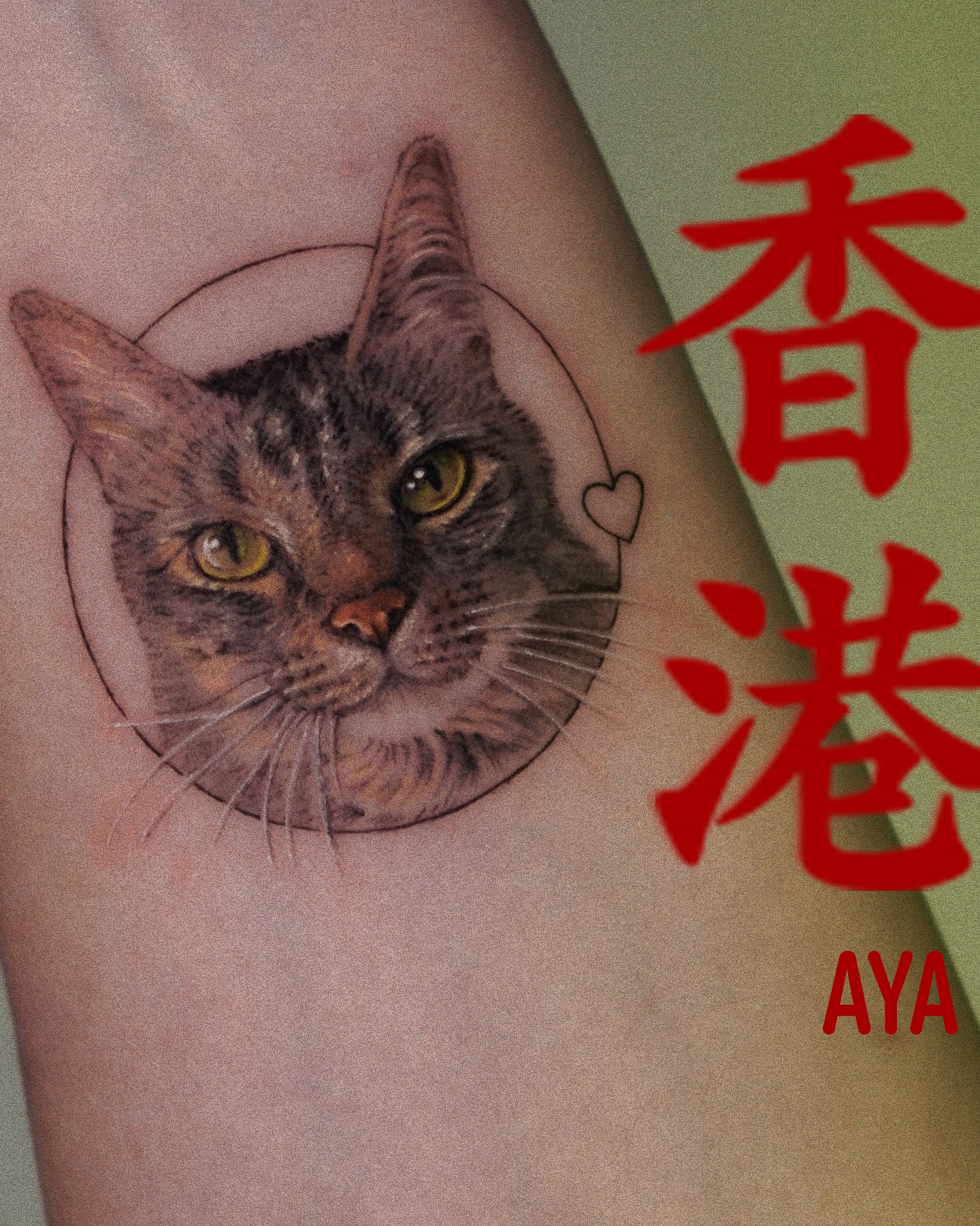 Animal
