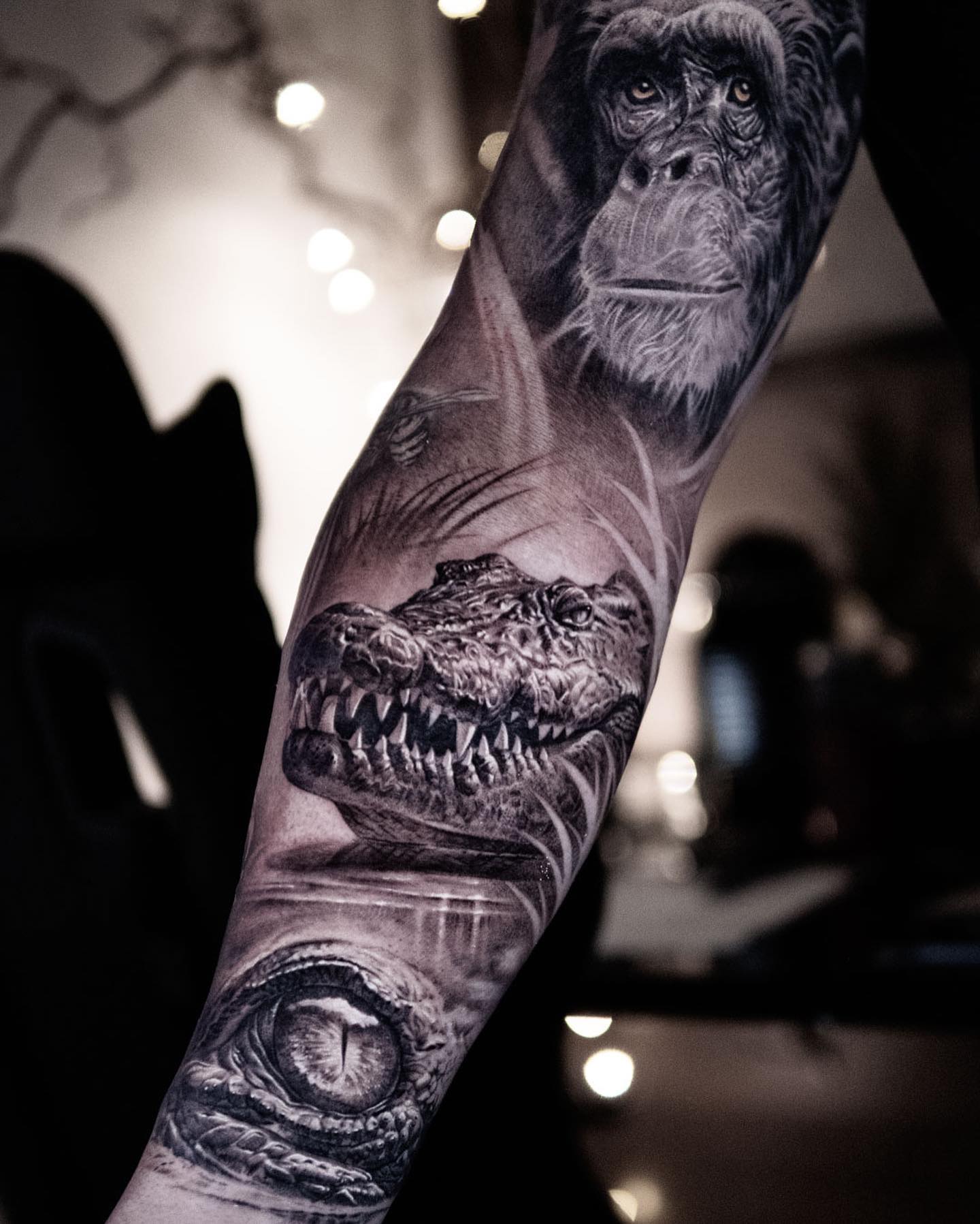 Dragon, 악어