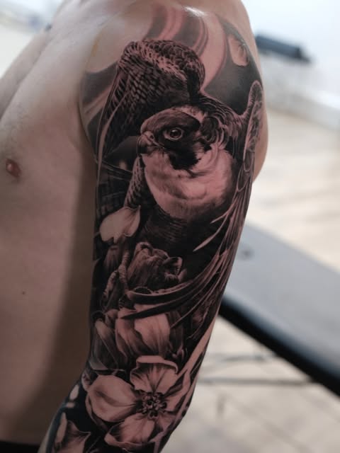 Animal