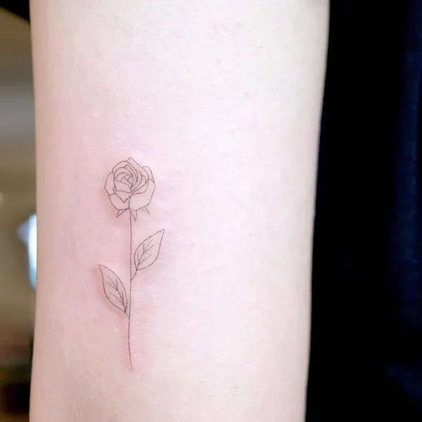 Flower, Rose