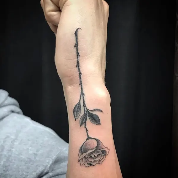 Flower, Rose