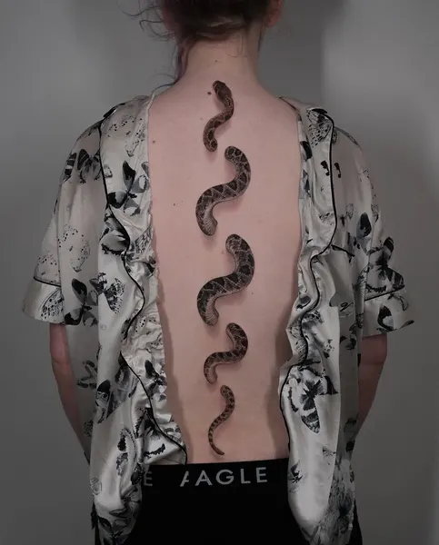 Dragon, Snake